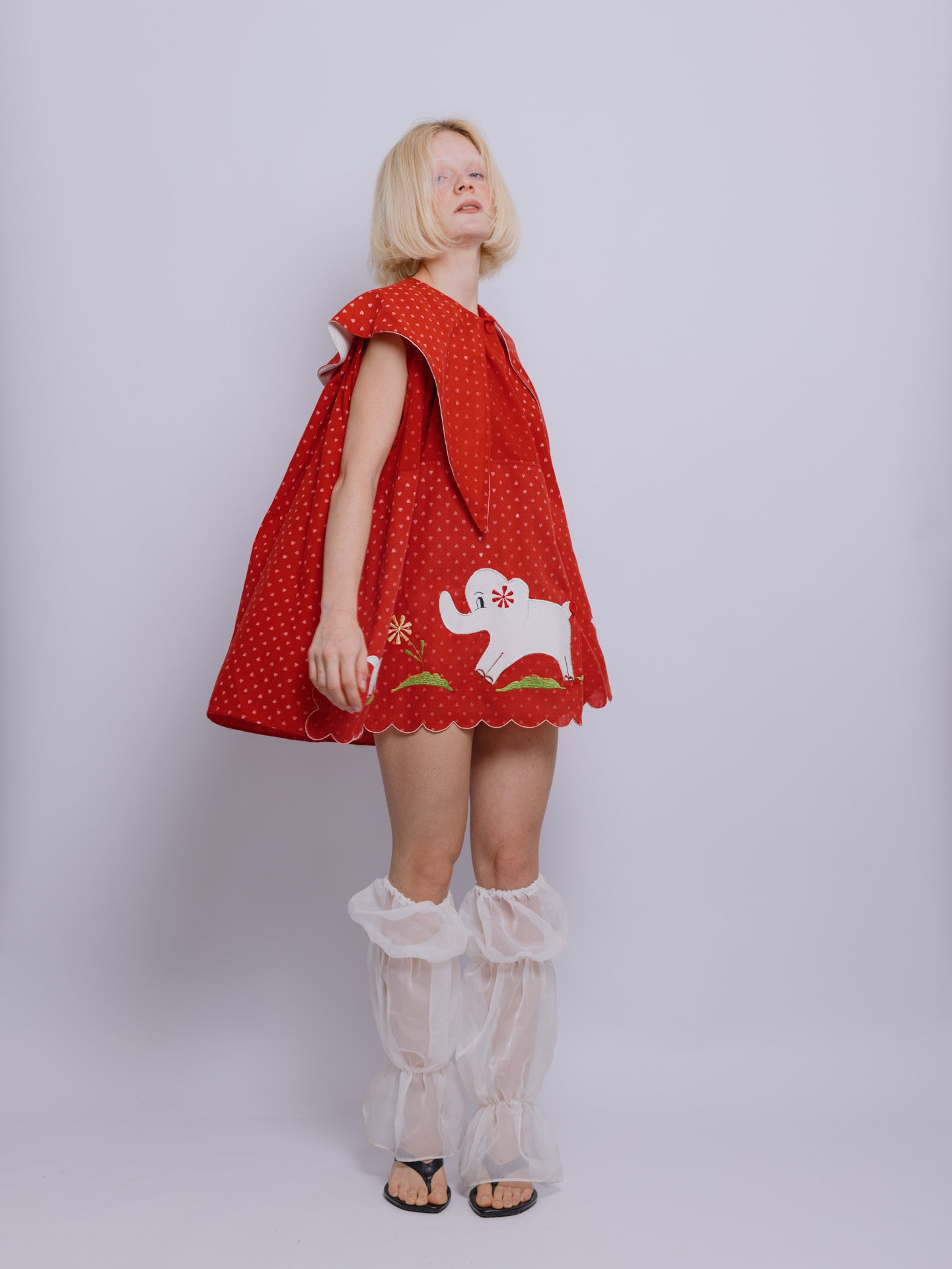 Golão verão elefante